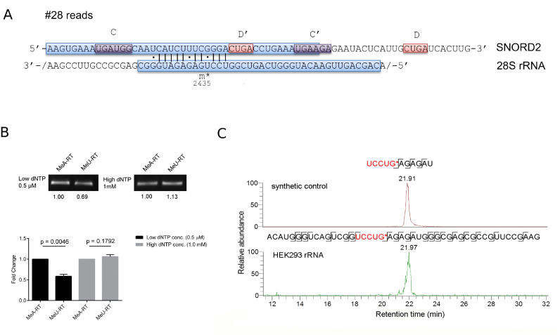 Figure 7.