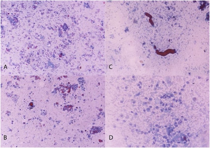 Fig. 2