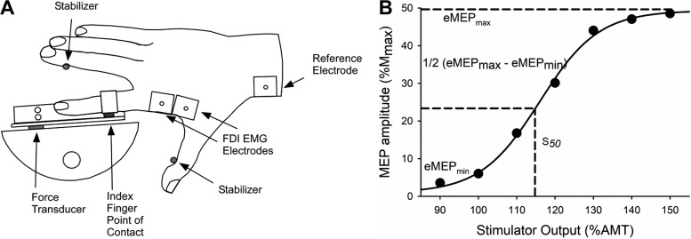 Fig. 1.