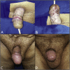 Fig. 5