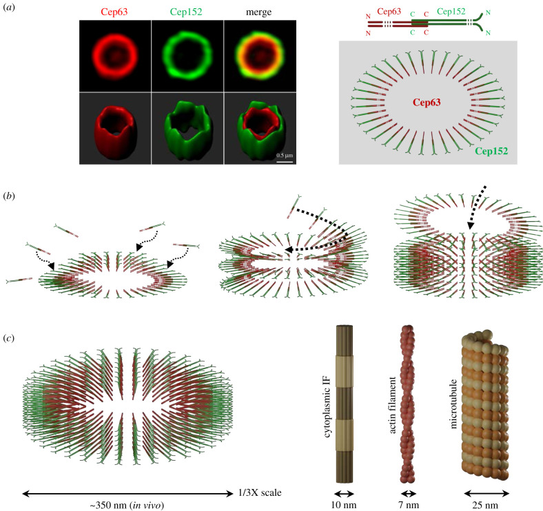 Figure 3.