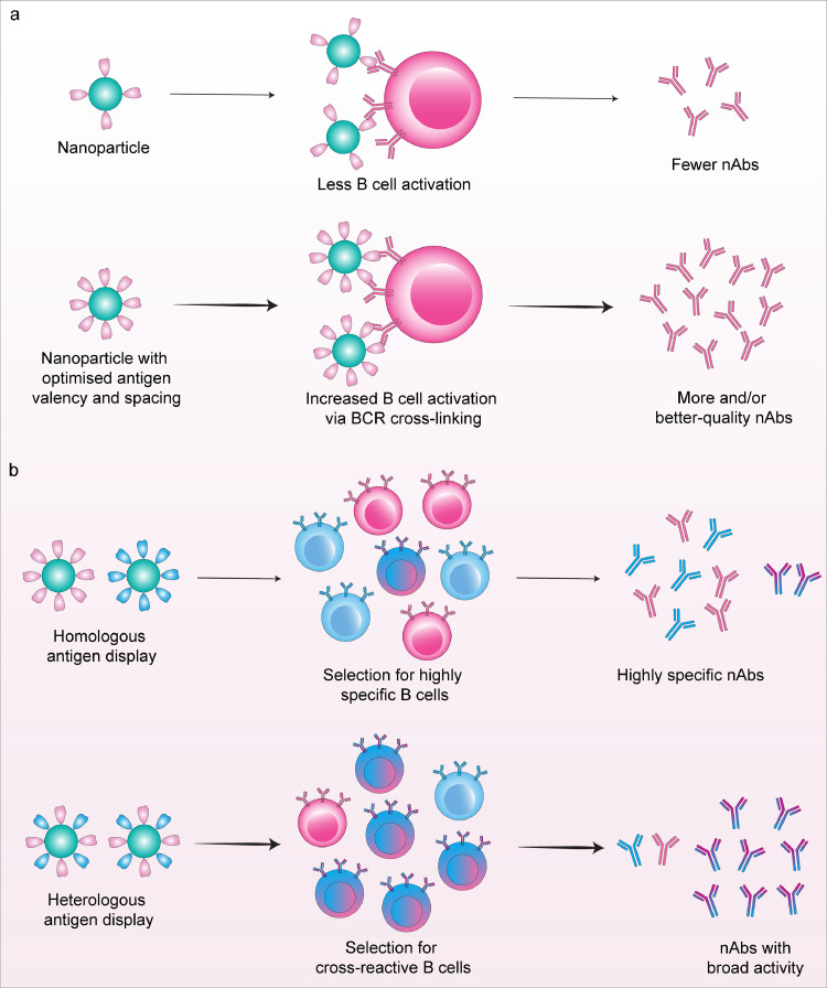 Fig 3: