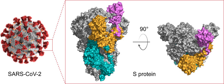 Fig 1: