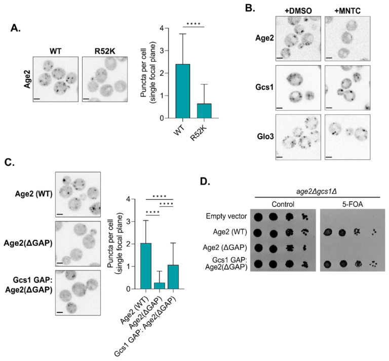 FIGURE 4.