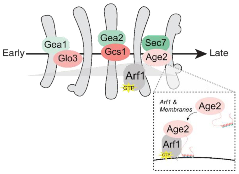FIGURE 7.
