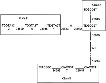 Figure  3