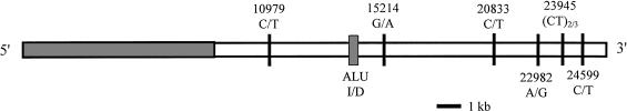 Figure  1