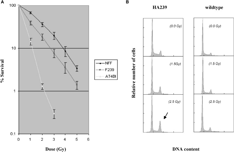 Figure 4