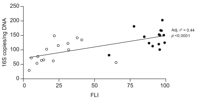 Fig. 6