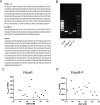 Figure 5—figure supplement 1.