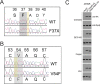 Figure 2—figure supplement 1.