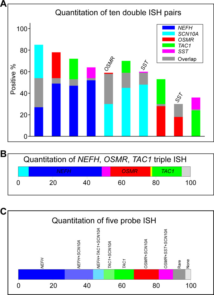 Figure 2—figure supplement 1.