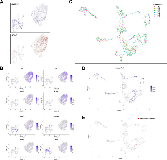 Figure 1—figure supplement 2.