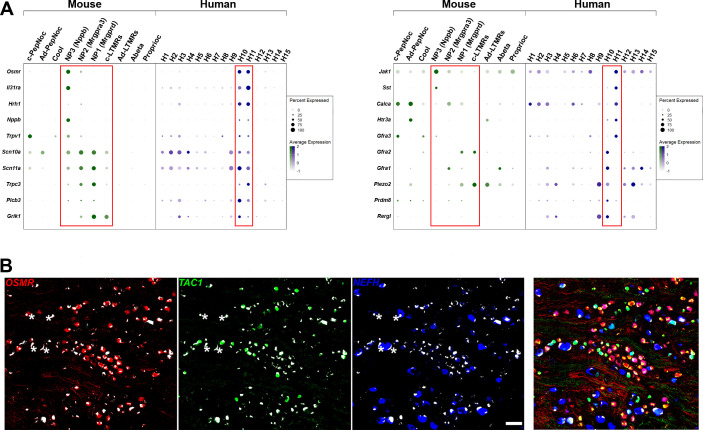 Figure 2—figure supplement 2.