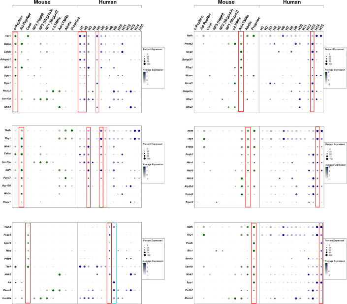 Figure 1—figure supplement 5.