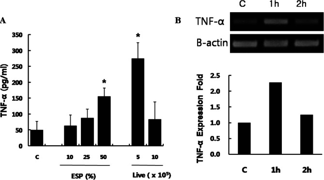 Fig 3.