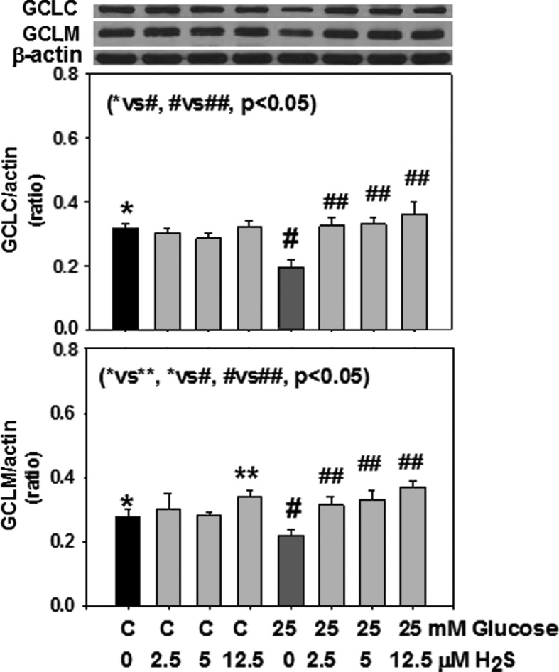 FIG. 1.