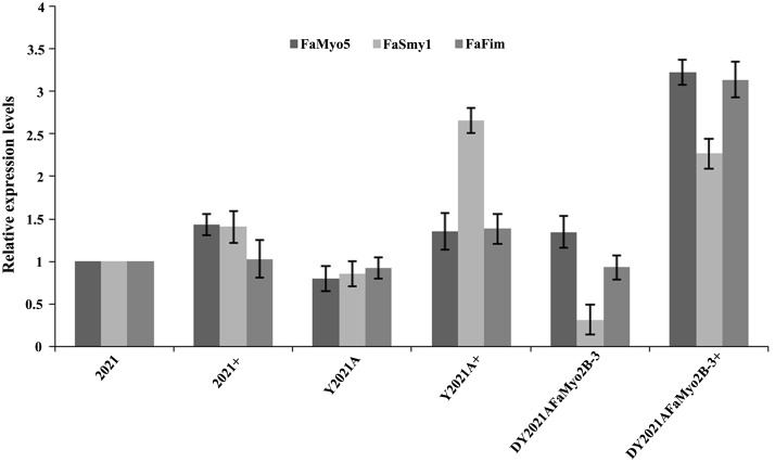 Fig 4