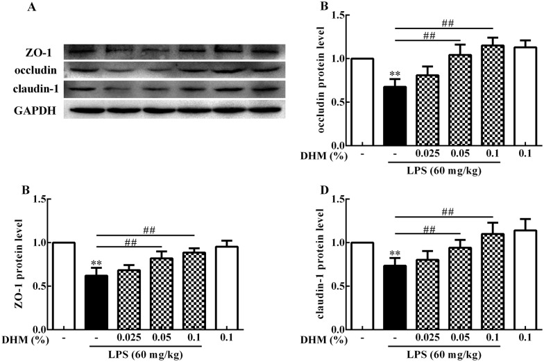 Figure 4