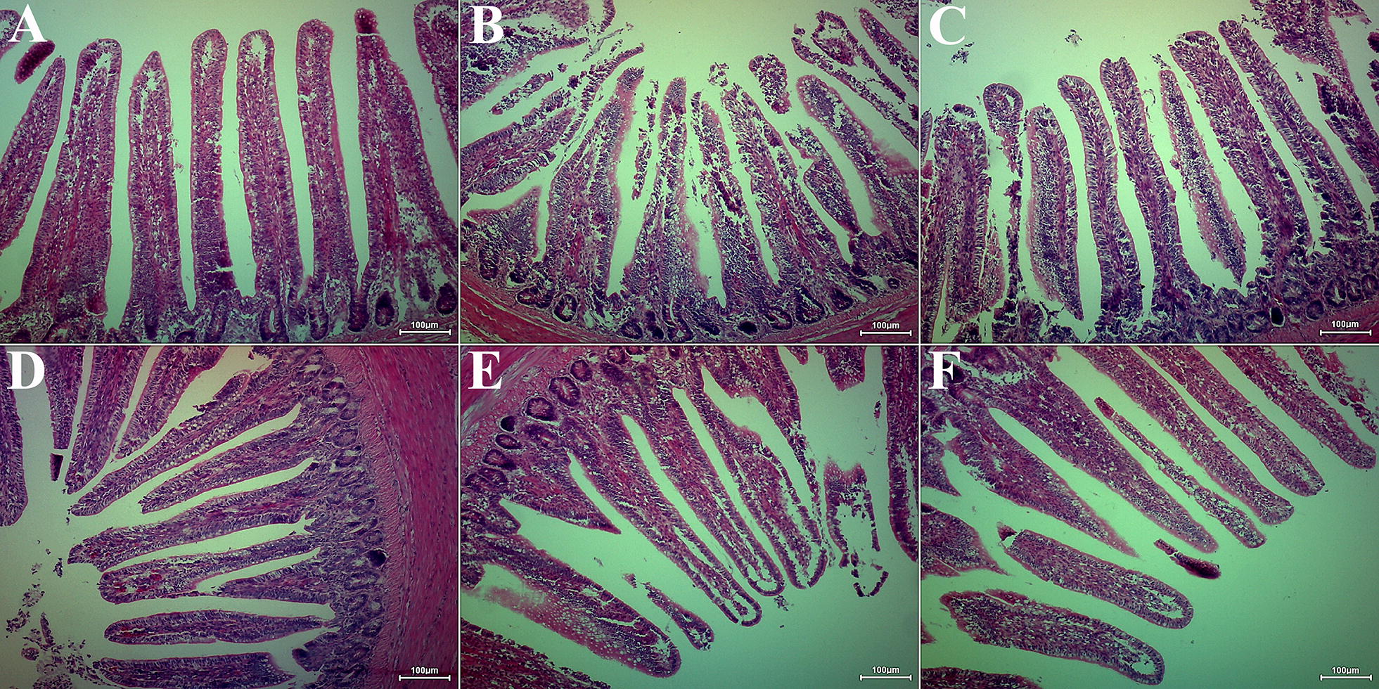 Figure 2