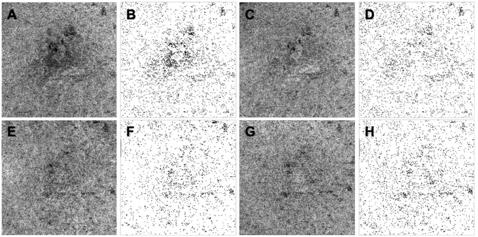 Figure 4: