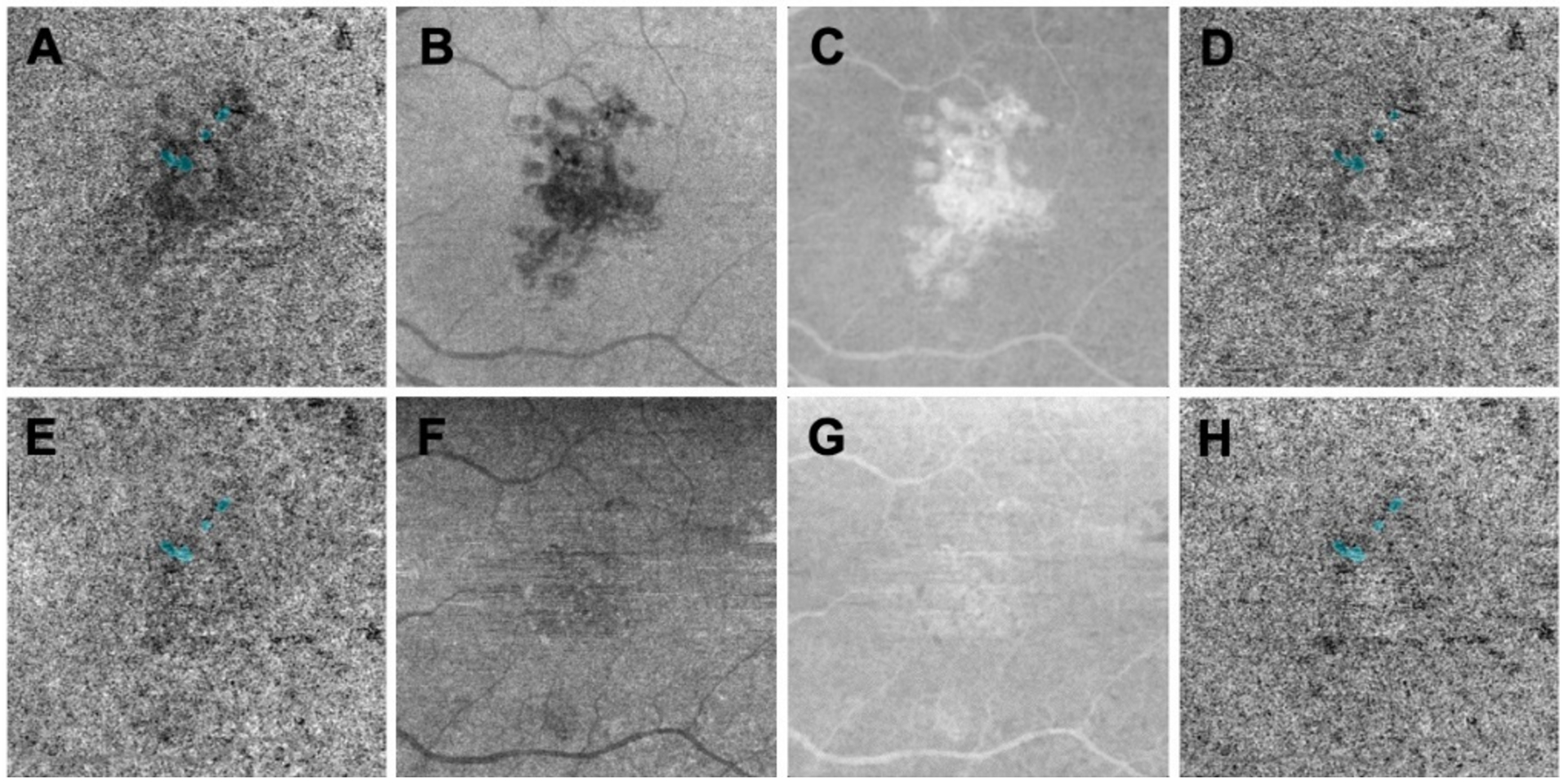 Figure 2: