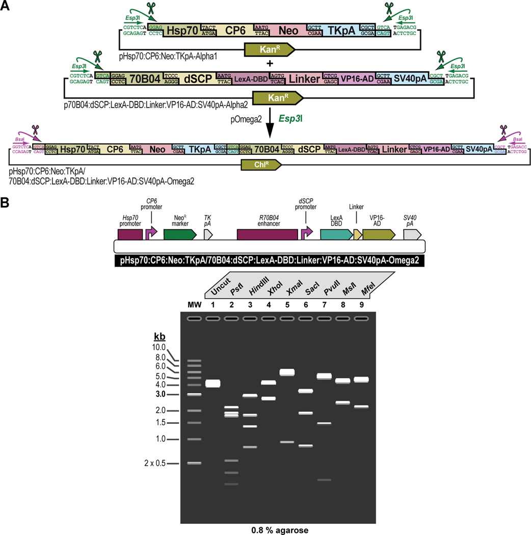 Figure 12.