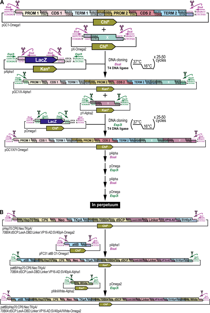 Figure 13.