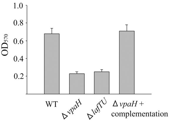 FIG. 7.