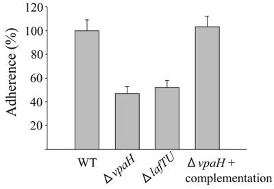 FIG. 8.