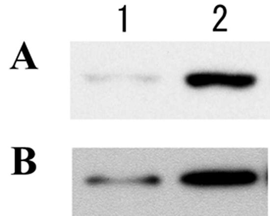 FIG. 9.