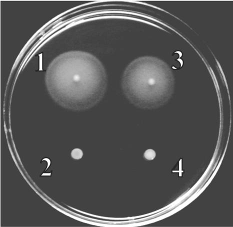 FIG. 4.