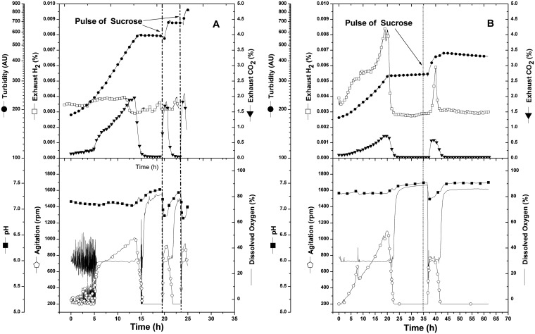 FIG 2