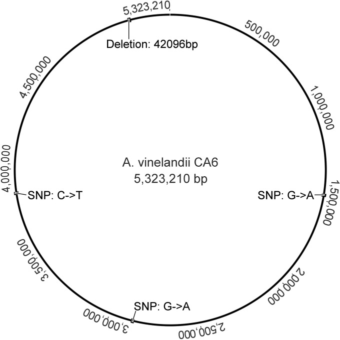 FIG 3