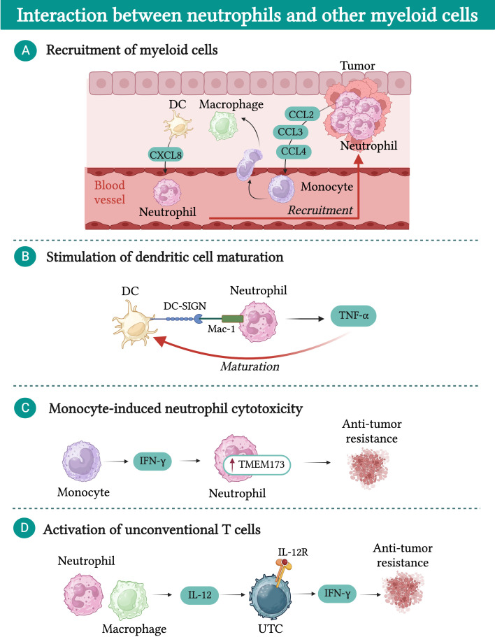 Figure 5