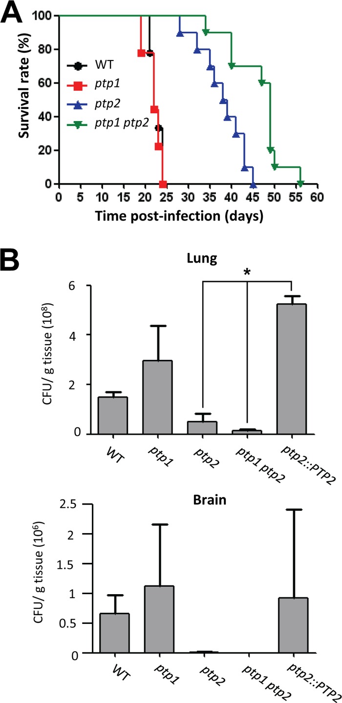 FIG 10