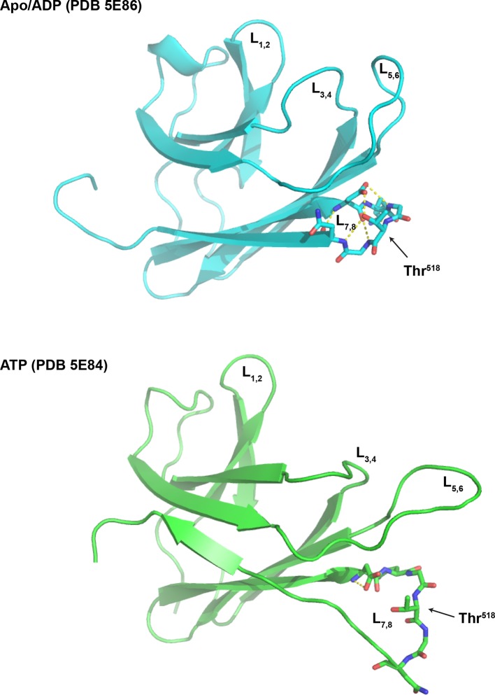 Figure 7—figure supplement 2.