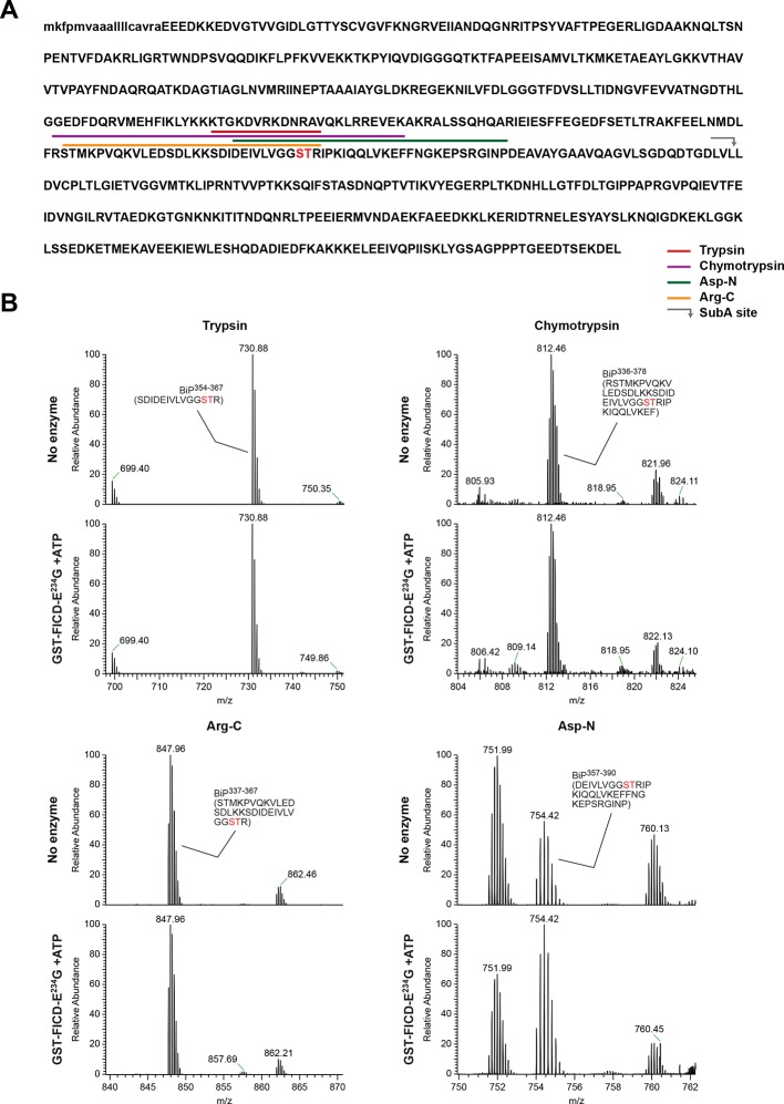 Figure 4—figure supplement 3.