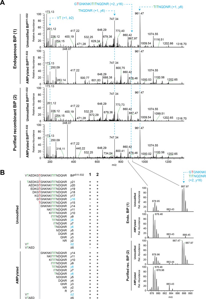 Figure 6—figure supplement 2.