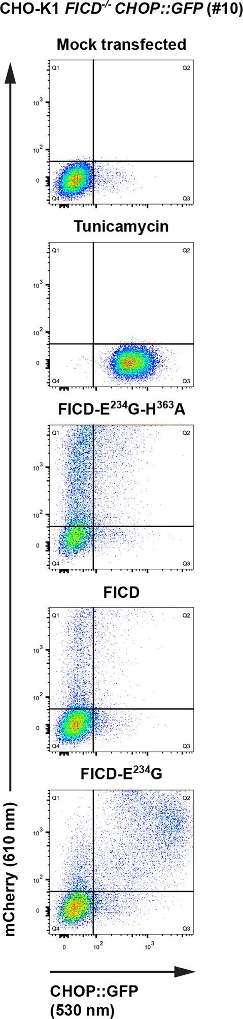 Figure 9—figure supplement 1.