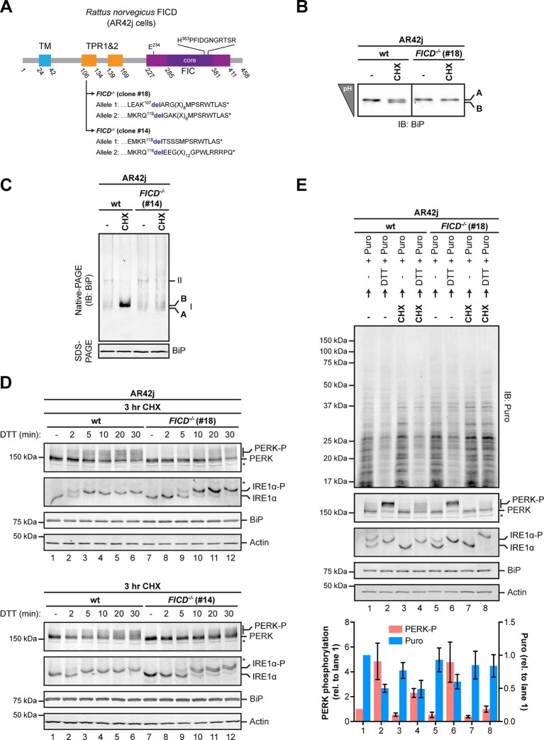 Figure 10.