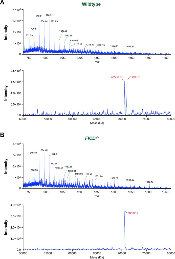 Figure 4—figure supplement 2.