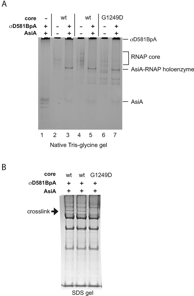 Figure 6.