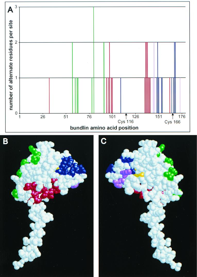 FIG. 6