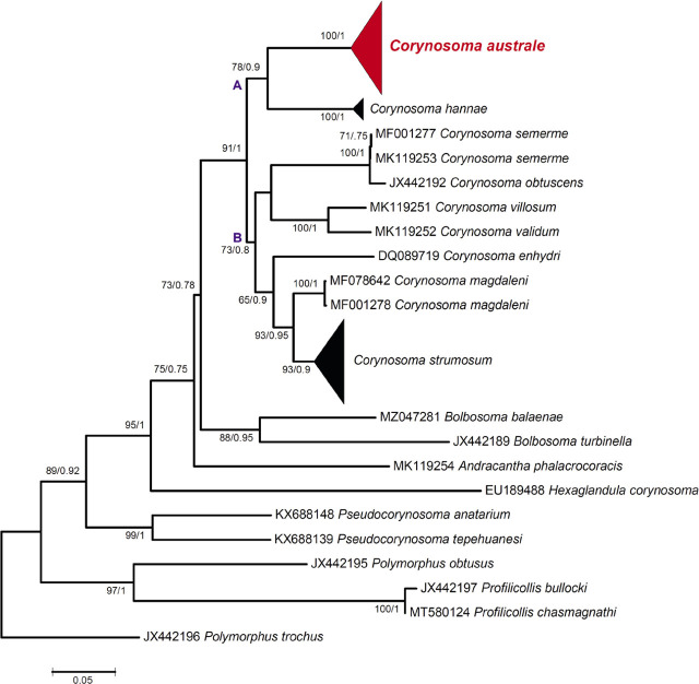 Fig. 41.