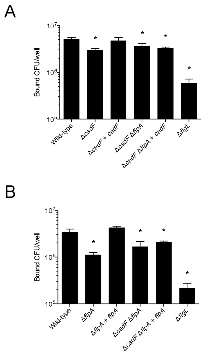 Figure 5