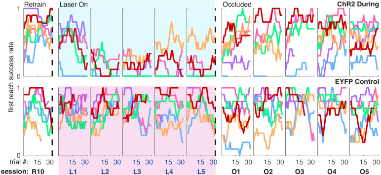 Figure 2—figure supplement 1.