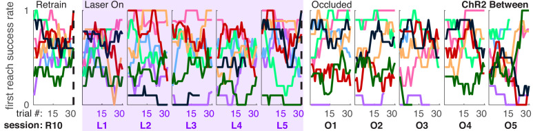 Figure 3—figure supplement 1.