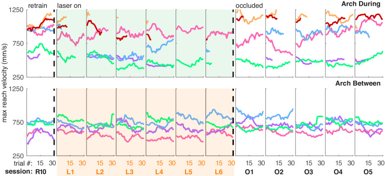 Figure 7—figure supplement 6.