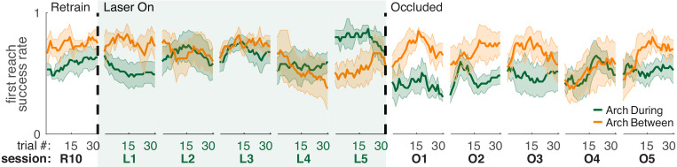 Figure 4—figure supplement 1.